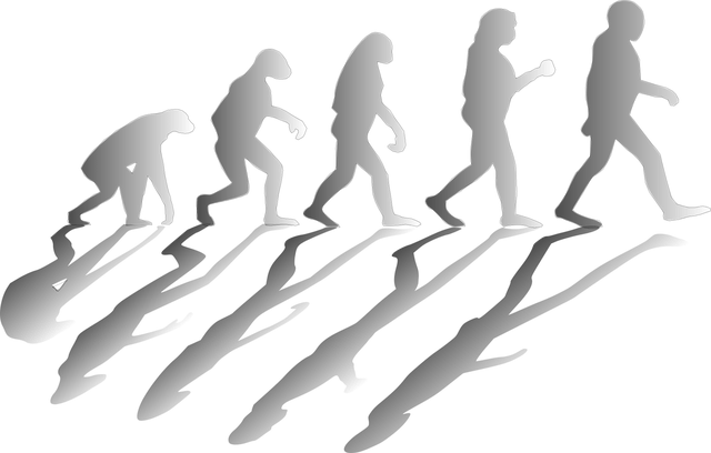 DLT + AR: The Killer Blockchain App? Outlier Ventures DLT + AR: The Killer Blockchain App? Outlier Ventures